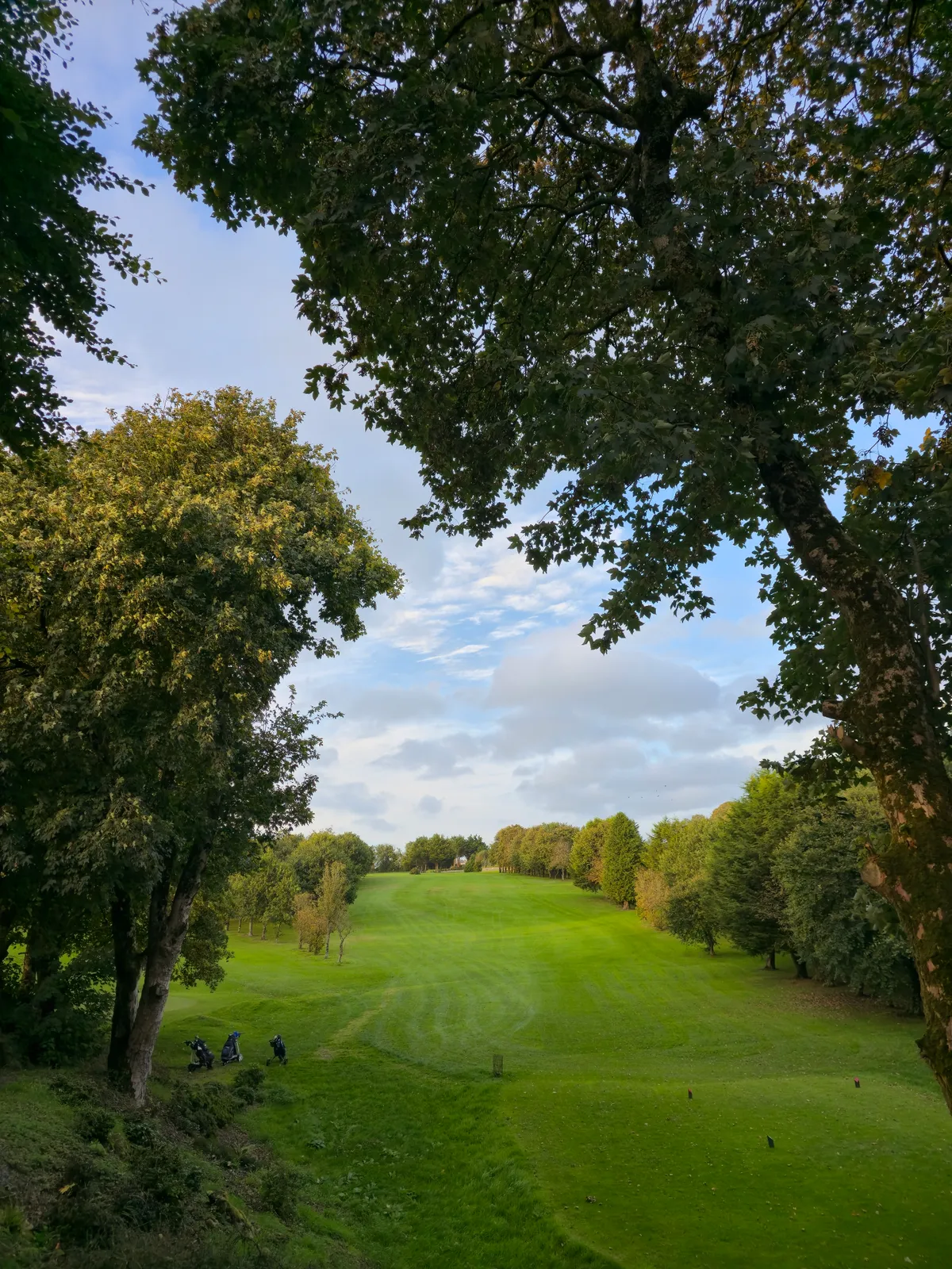 Ashfield Golf Club photo 5