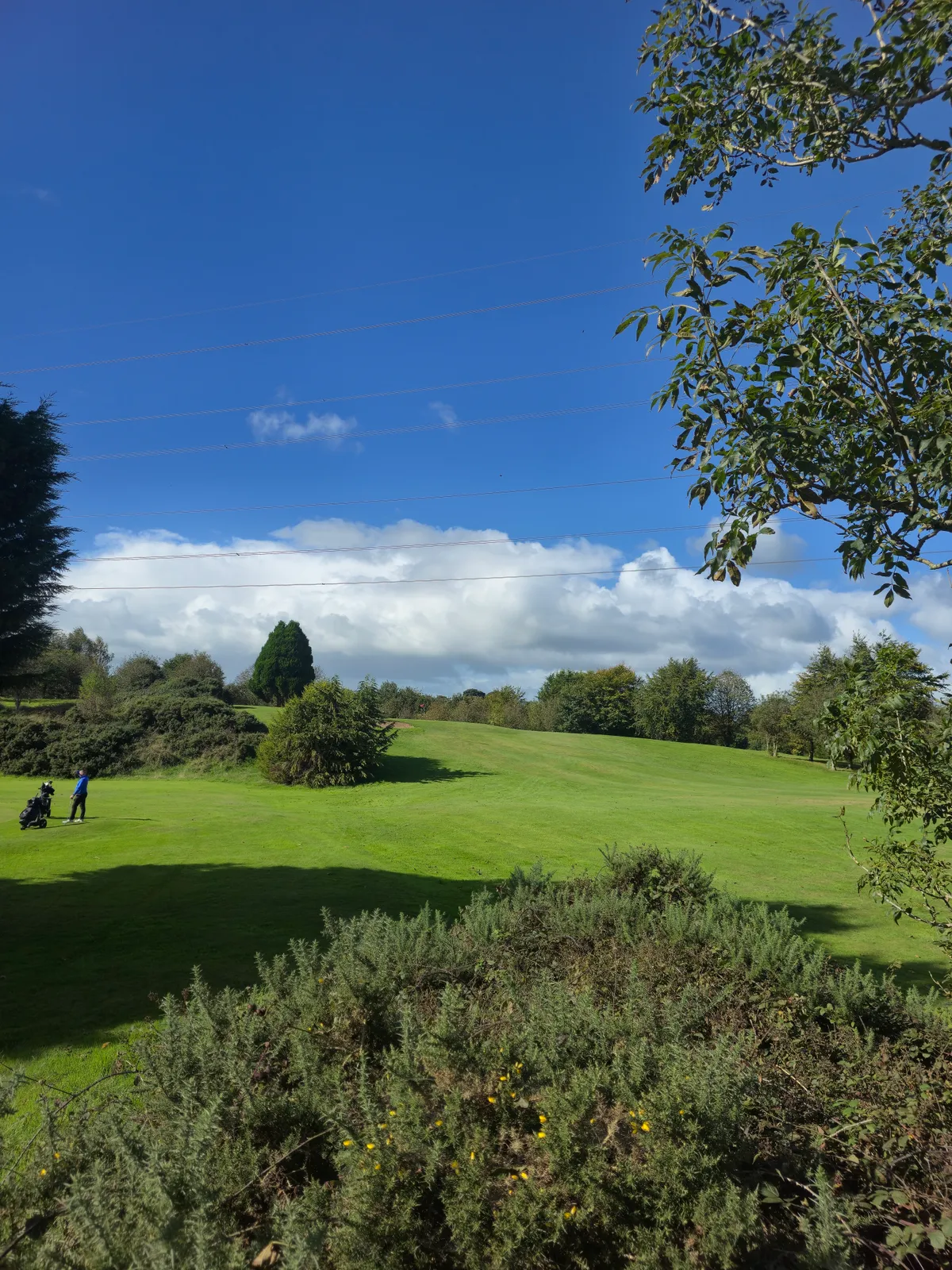 Ashfield Golf Club photo 6