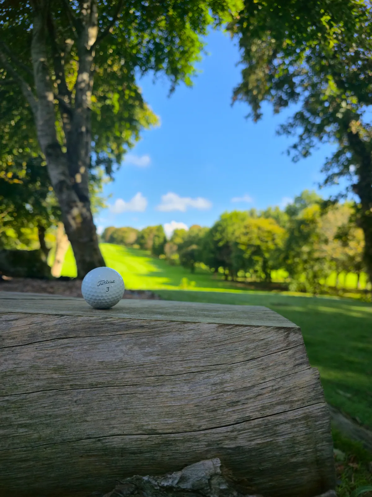 Ashfield Golf Club photo 8