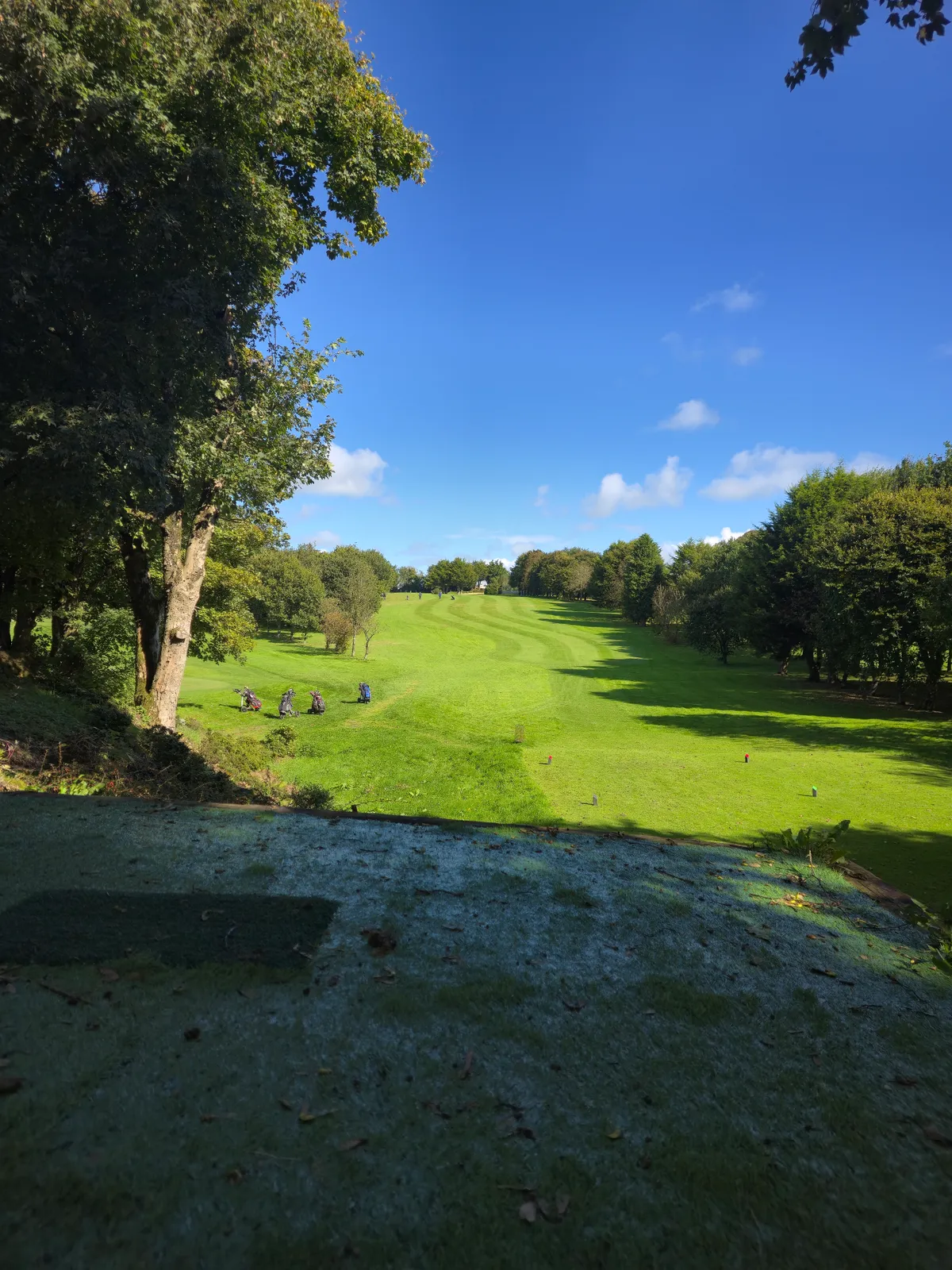 Ashfield Golf Club photo 9