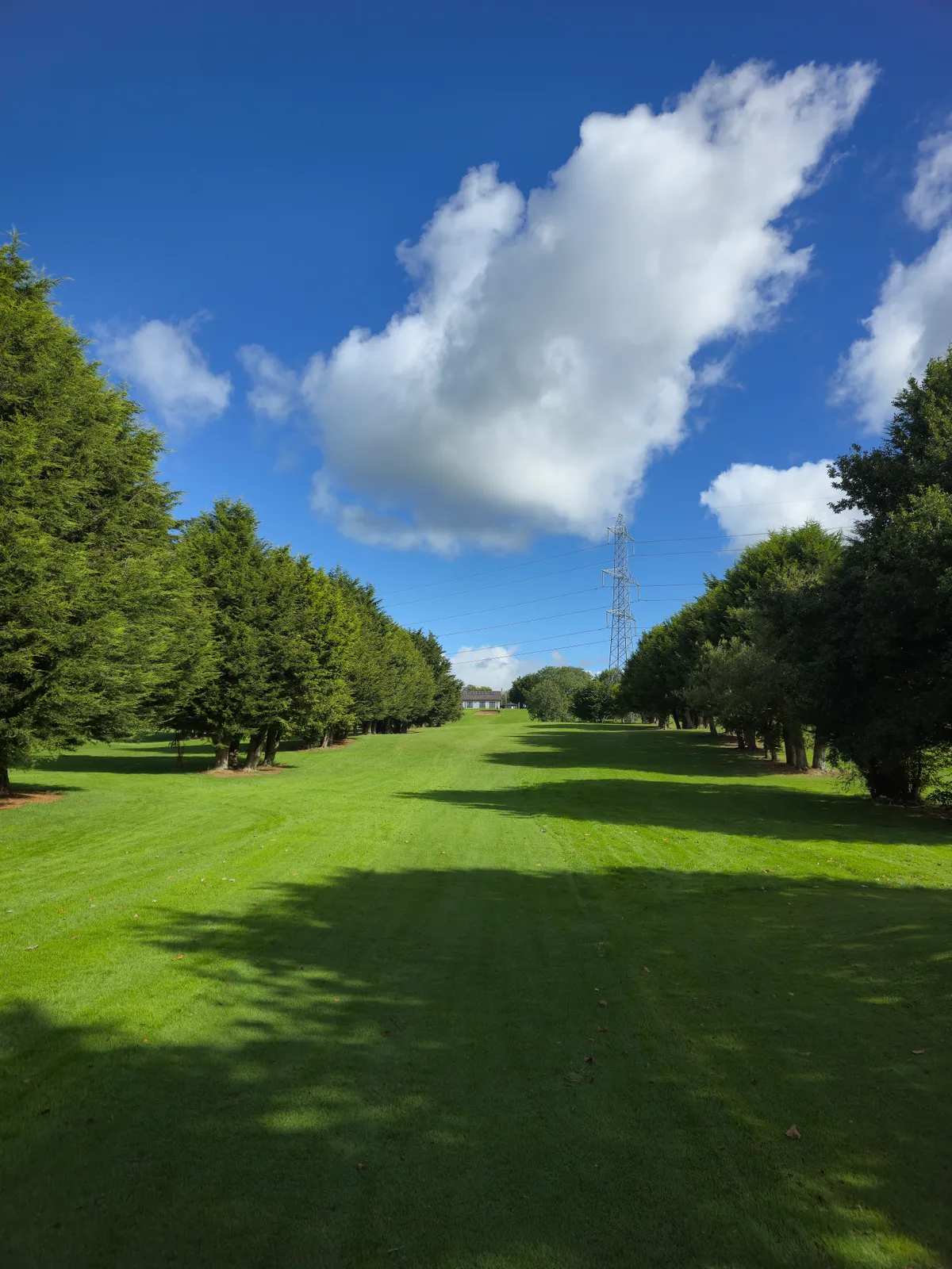 Ashfield Golf Club photo 10