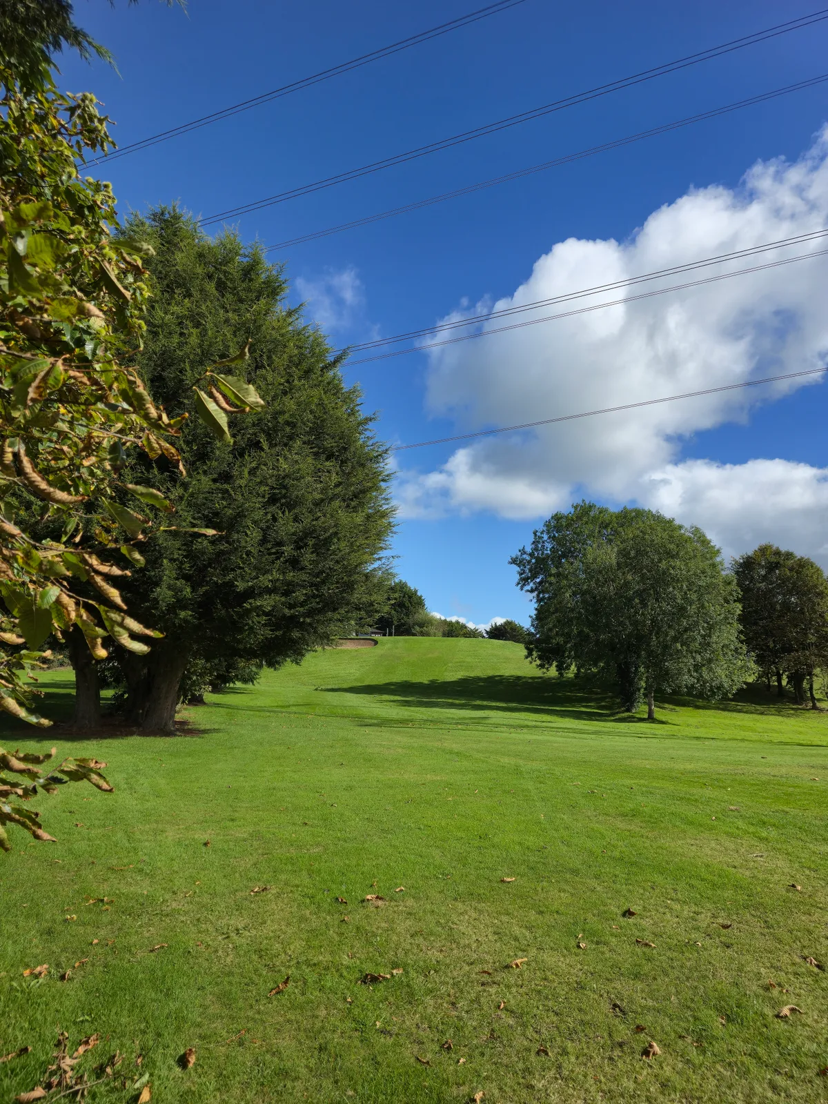 Ashfield Golf Club photo 11