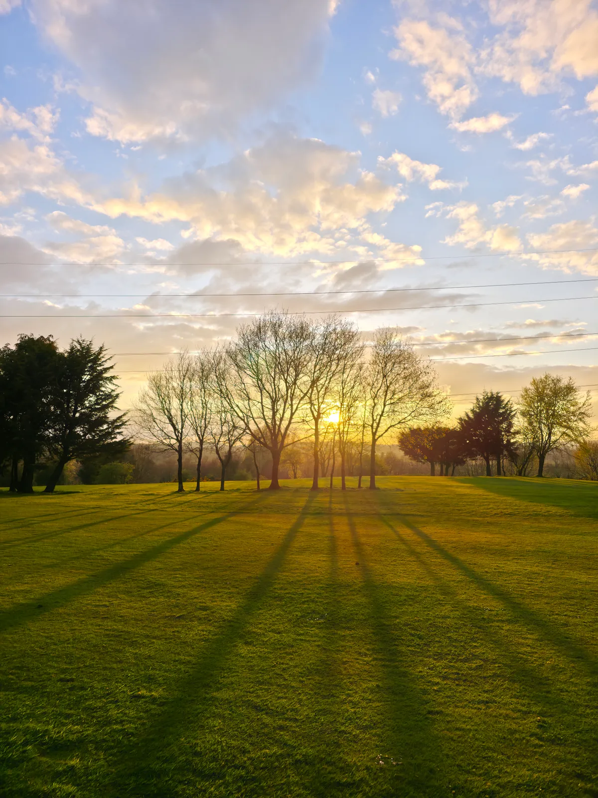 Ashfield Golf Club photo 13